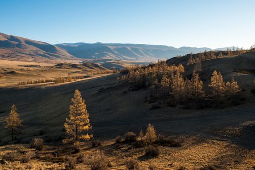 В окрестностях Курая