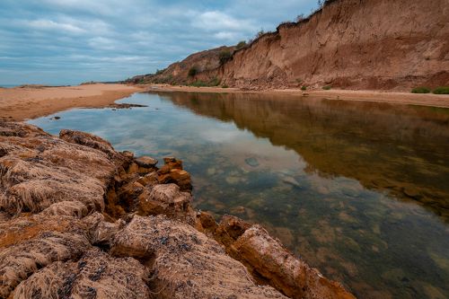 Морское Дно / Seabed