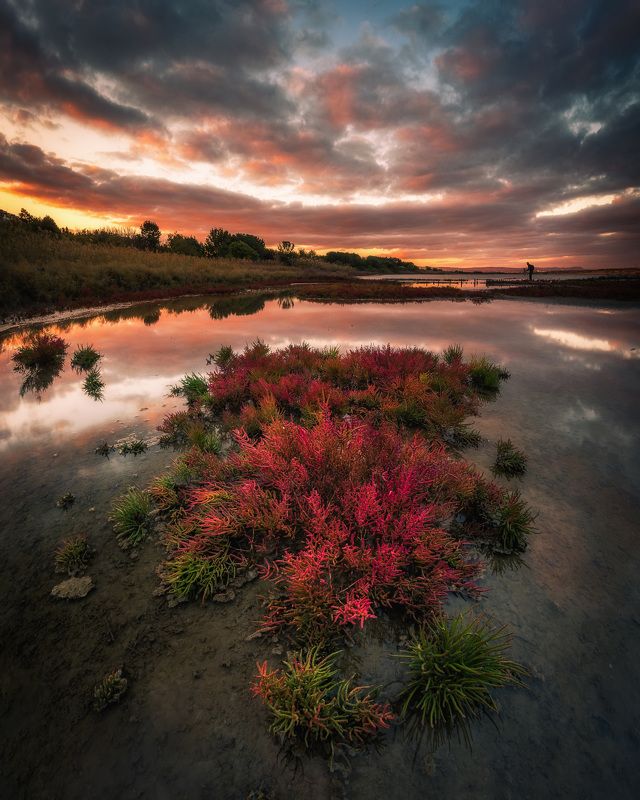 autumn, lake, water, landscape, fire, red, color, beautiful Autumn fire фото превью