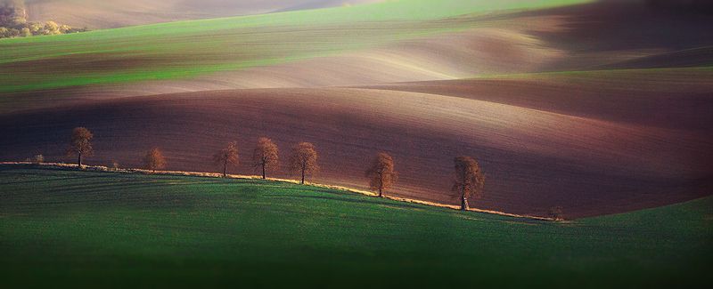 Moravia фото превью