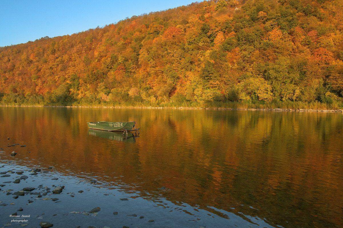 карпаты., украина., зима., пейзаж., снег., карпатский., гора., красивый., небо., природа., дерево., холод., мороз., путешествия., белый., сезон., ель., лес., фон., снежный., горы., зимний., утро., отдых., солнце., лед., изморозь., иней., сцена., синий., с, Леонид Морозов