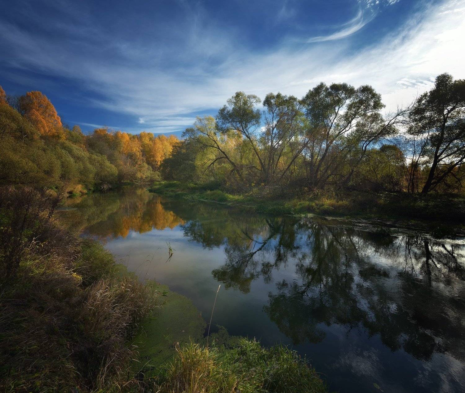 лес, природа, пейзаж, осень, река, вода, ручей, подмосковье, Алексей Никонов