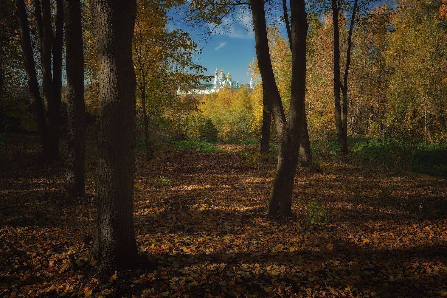 осень, краски, парк, истра, Алексей Никонов