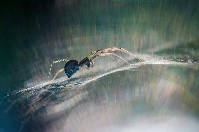 сияние-2 фото превью