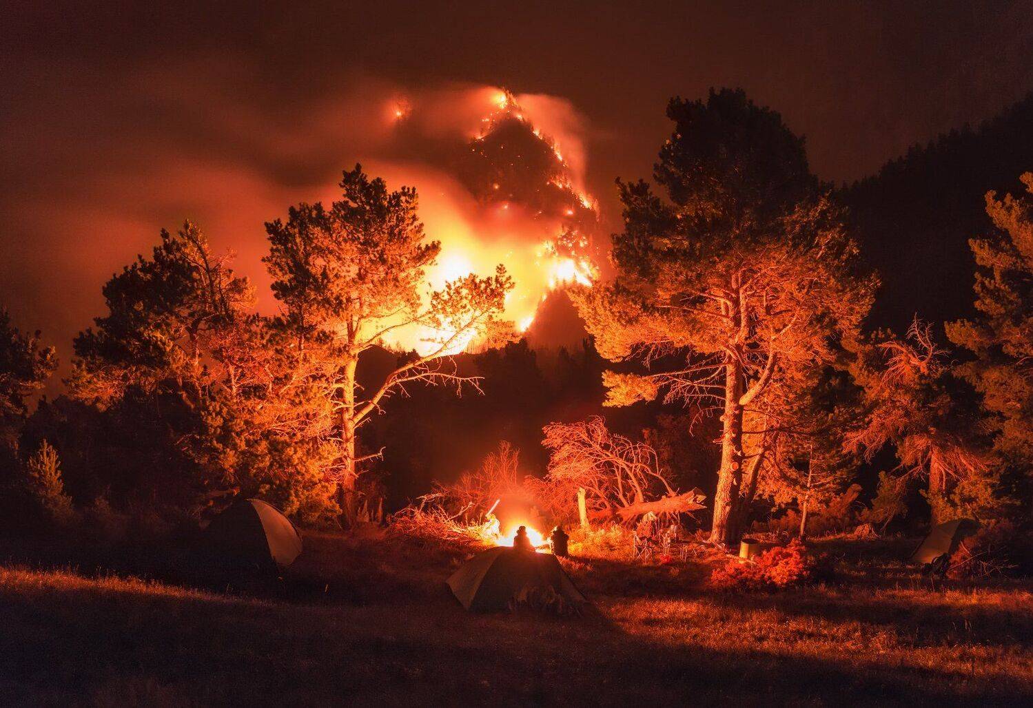 дагестан, Андрей Грачев