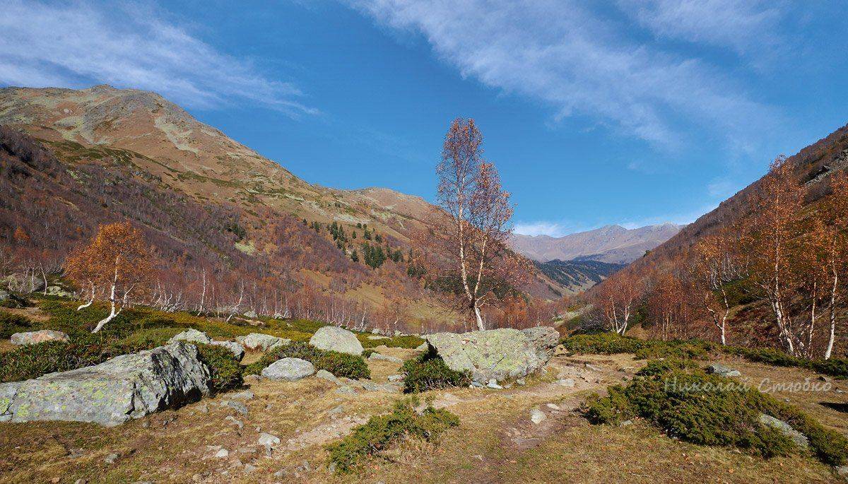 кавказ горы березы архыз, Николай Стюбко