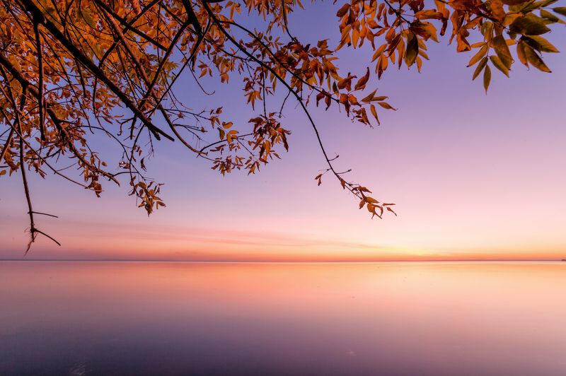 Ванильное небо октября фото превью