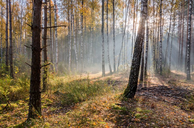 Неповторимая осень фото превью