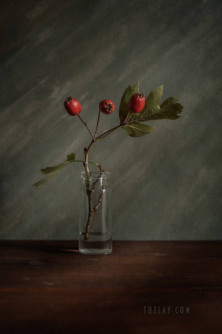 боярышник, пузырёк, красные ягоды, осень во флаконе, Владимир Тузлай