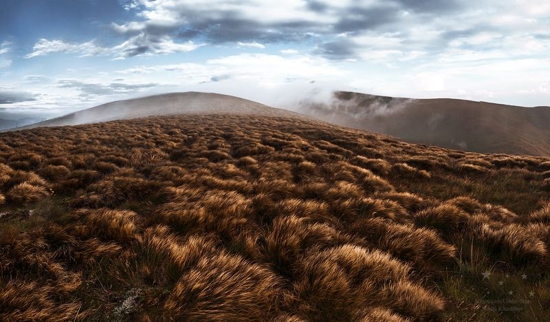 трава, драгобрат, карпаты, горы, склоны Карпаты фото превью