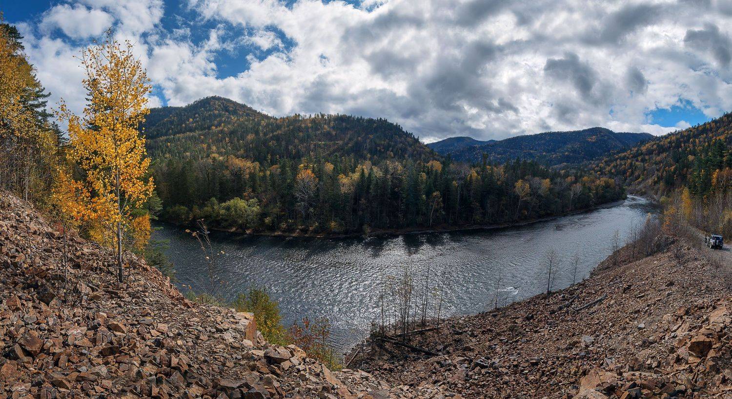 , Шинкарева Елена