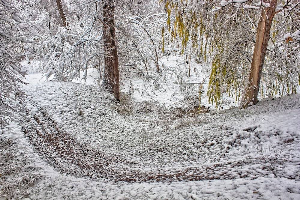 кыргызстан, осень, Элина Магалимова