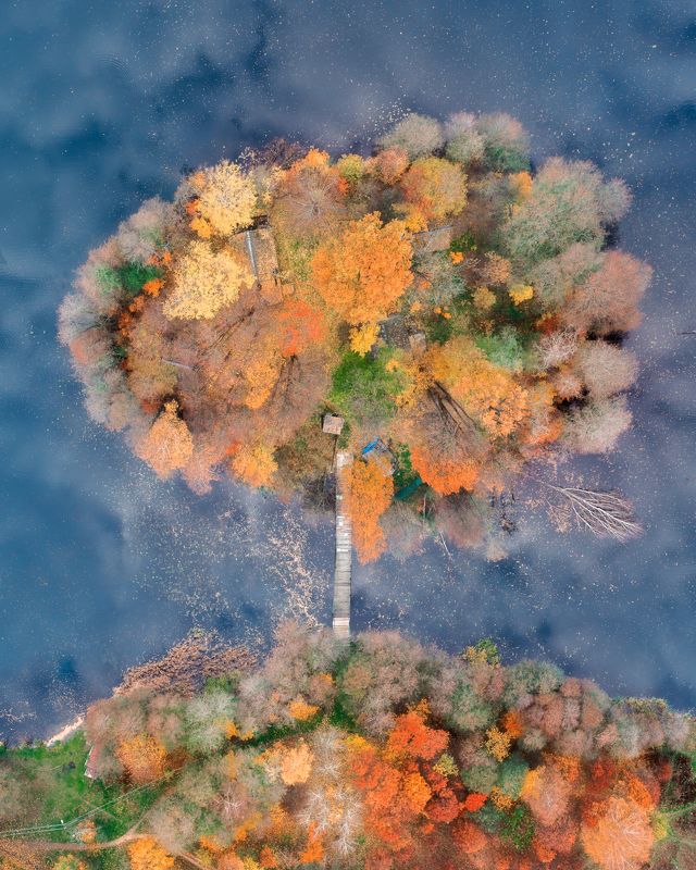 Осень, природа, дрон Осеннее дерево фото превью