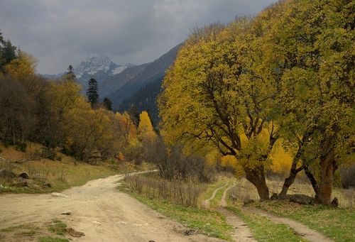 Осеняя дорога
