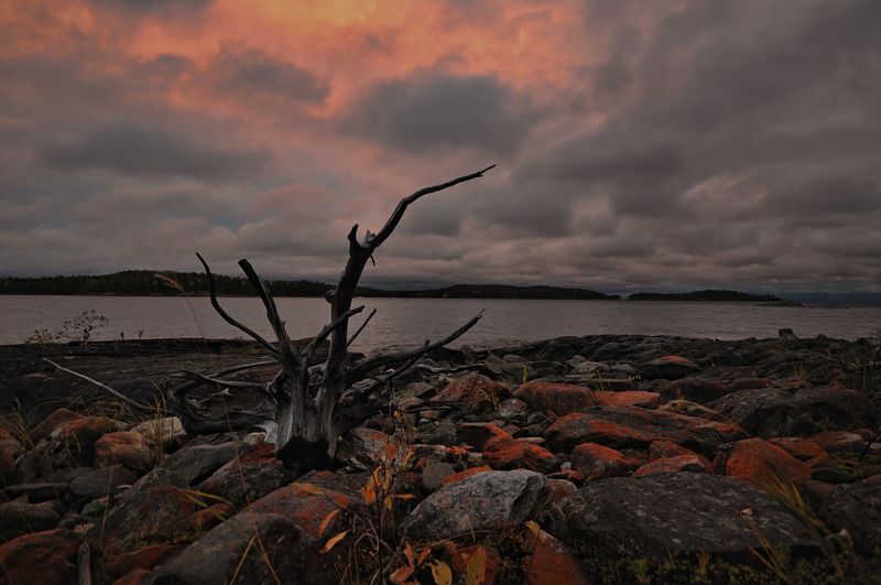 *** фото превью