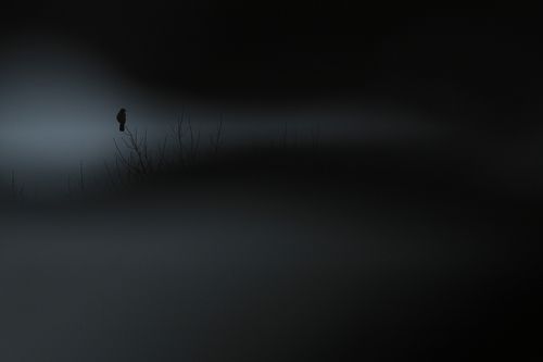 The Land of Darkness
