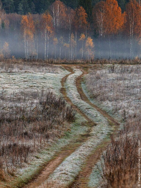 Дорога из осени в зиму...