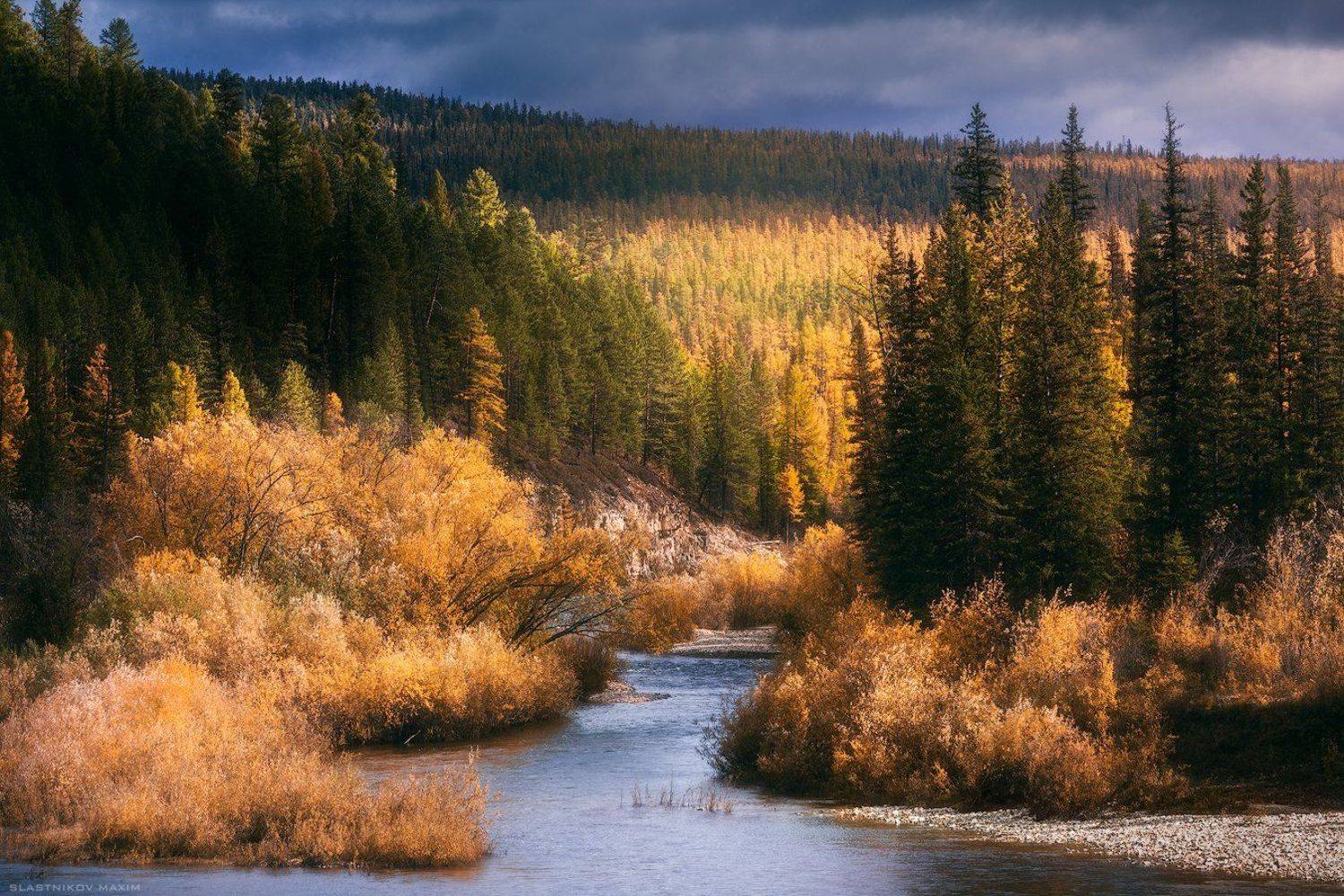 Сибирь, осень, цвета, река, песок, галька, лес, золото, небо, закат, Россия, Якутия, Тайга, Russia, river, cold, sunset, gold, trees, wind, explore, travel, sky, clouds, park, Yakutia, Максим Сластников
