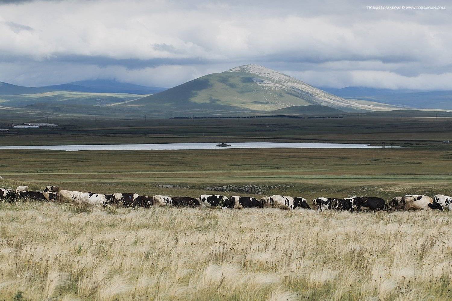 , Тигран Лорсабян