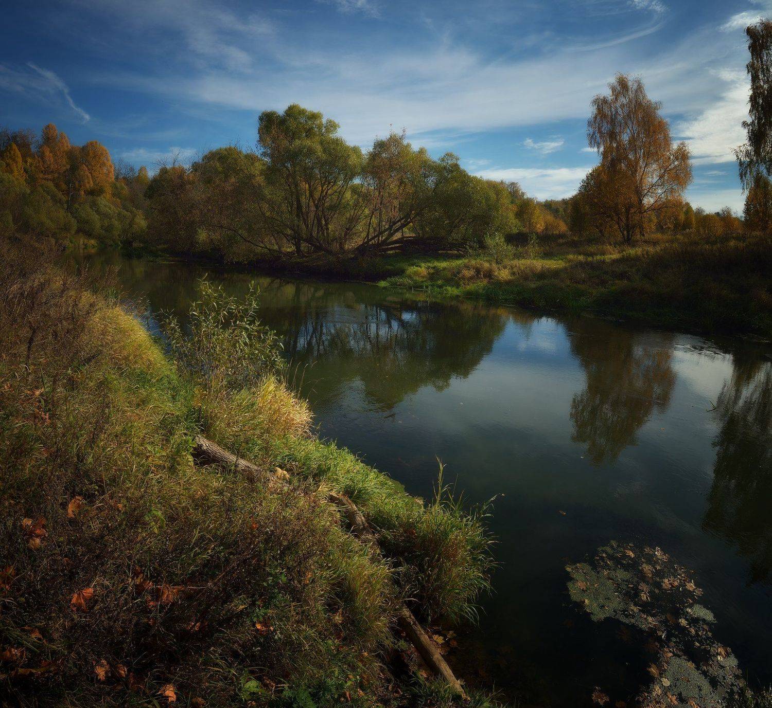 лес, природа, пейзаж, подмосковье, осень, отражения, Алексей Никонов