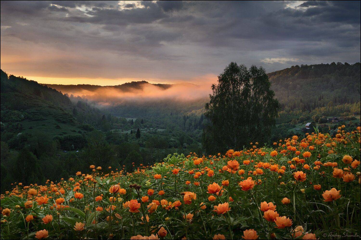 , Андрей Шумилин