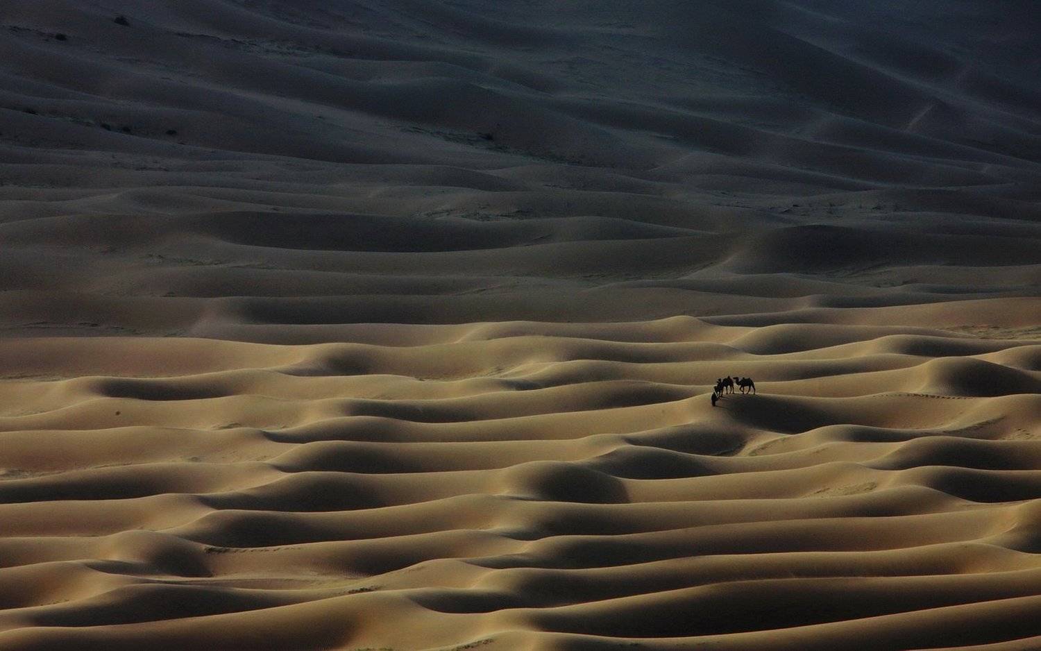 , Inkol Yu  유인걸