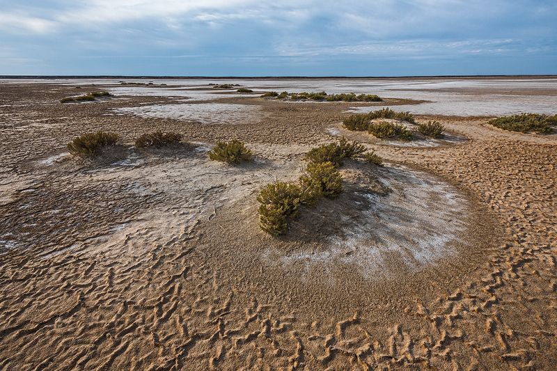 баскунчак красная лощина заповедник Баскунчак-4. Красная лощина фото превью