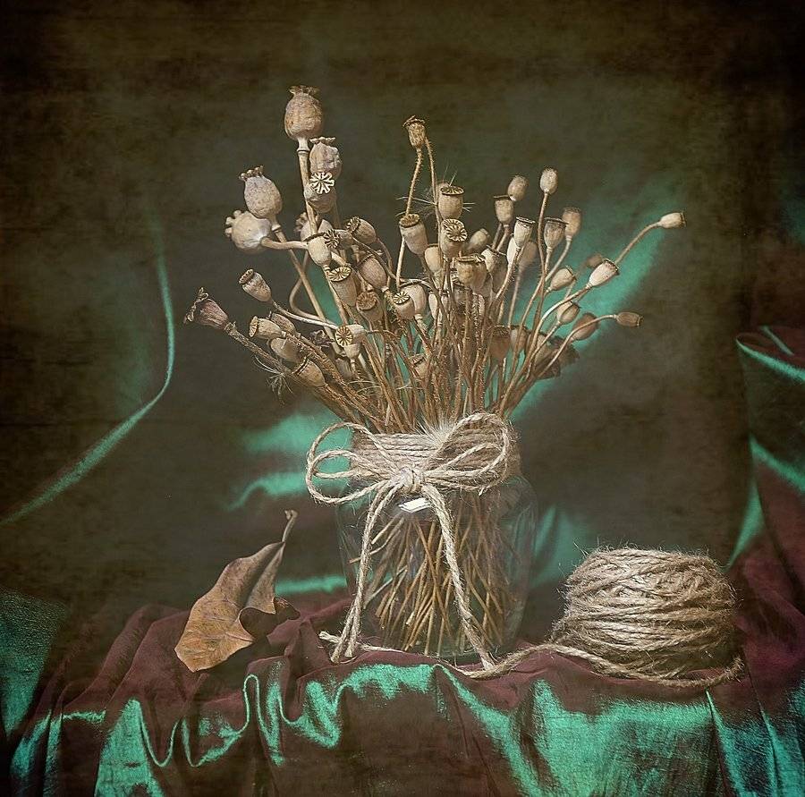 martwa natura, jesień, mak&oacute;wki, sznurek, liść , zieleń ,fotomalowanie,, Ela Drzazga