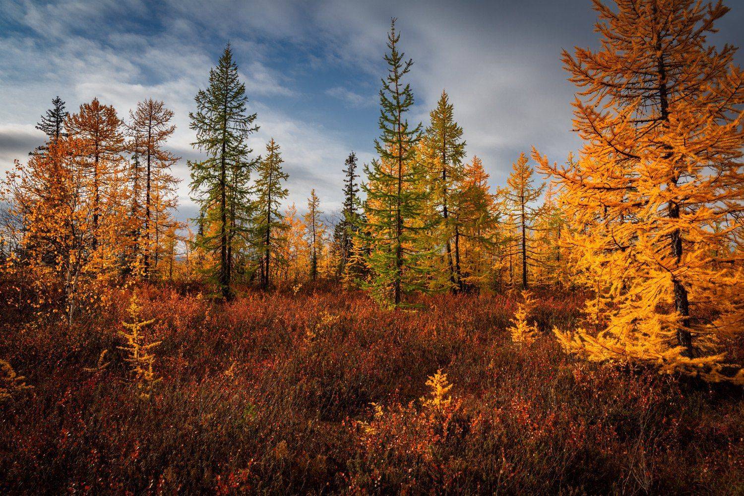 , Евгений Кужилев