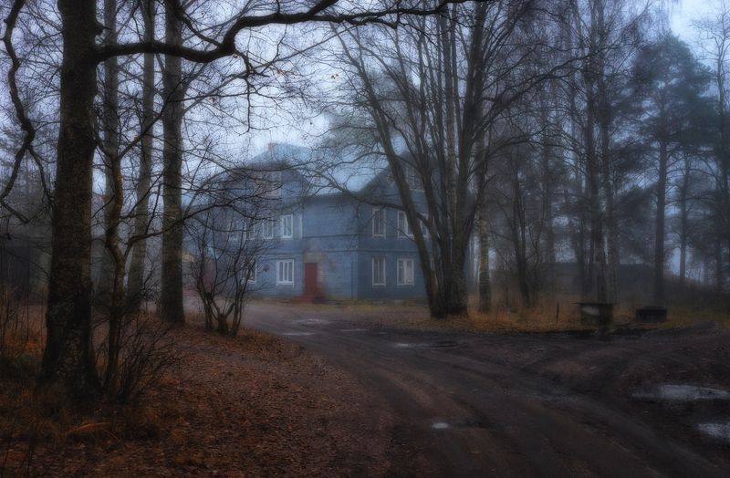 осень,грусть,пейзаж,туман,дом,дорога Тепло осенней грусти греет душу... фото превью