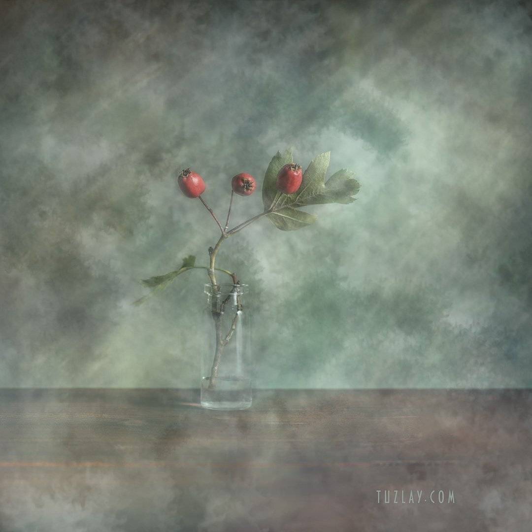 боярышник, пузырёк, красные ягоды, осень во флаконе, на холсте, принт, Владимир Тузлай