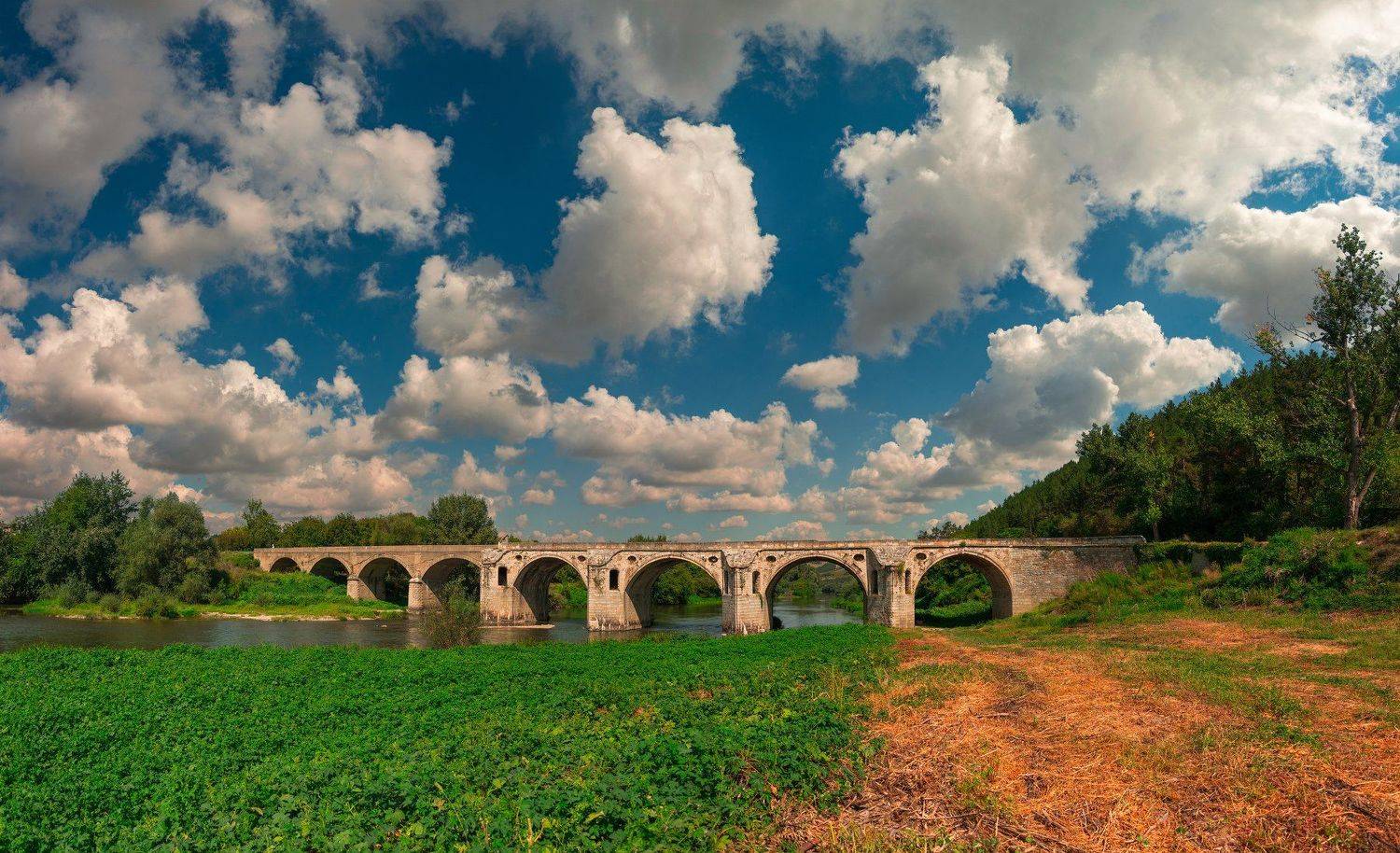 ceclii, nikon d3400, Tsvetan Ganev