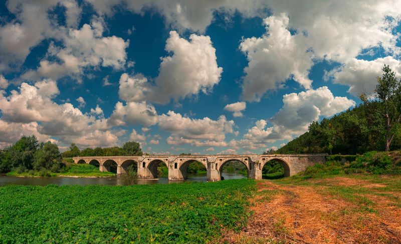 ceclii, nikon d3400  фото превью