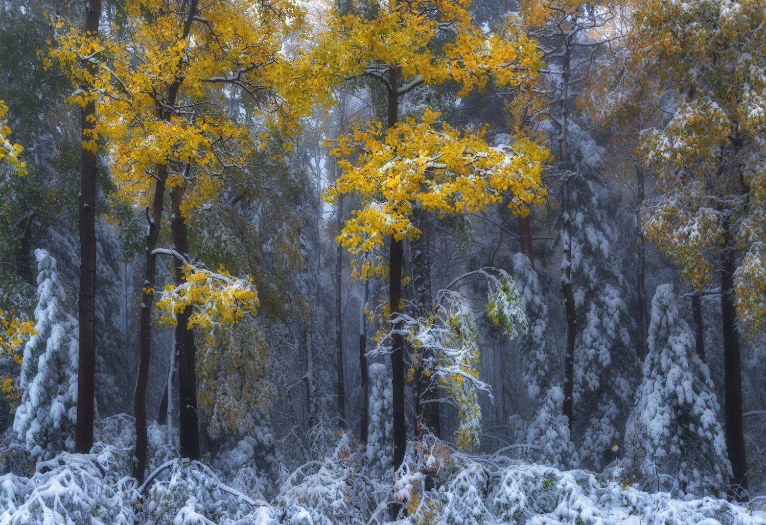 байкал, иркутск, Андрей Грачев
