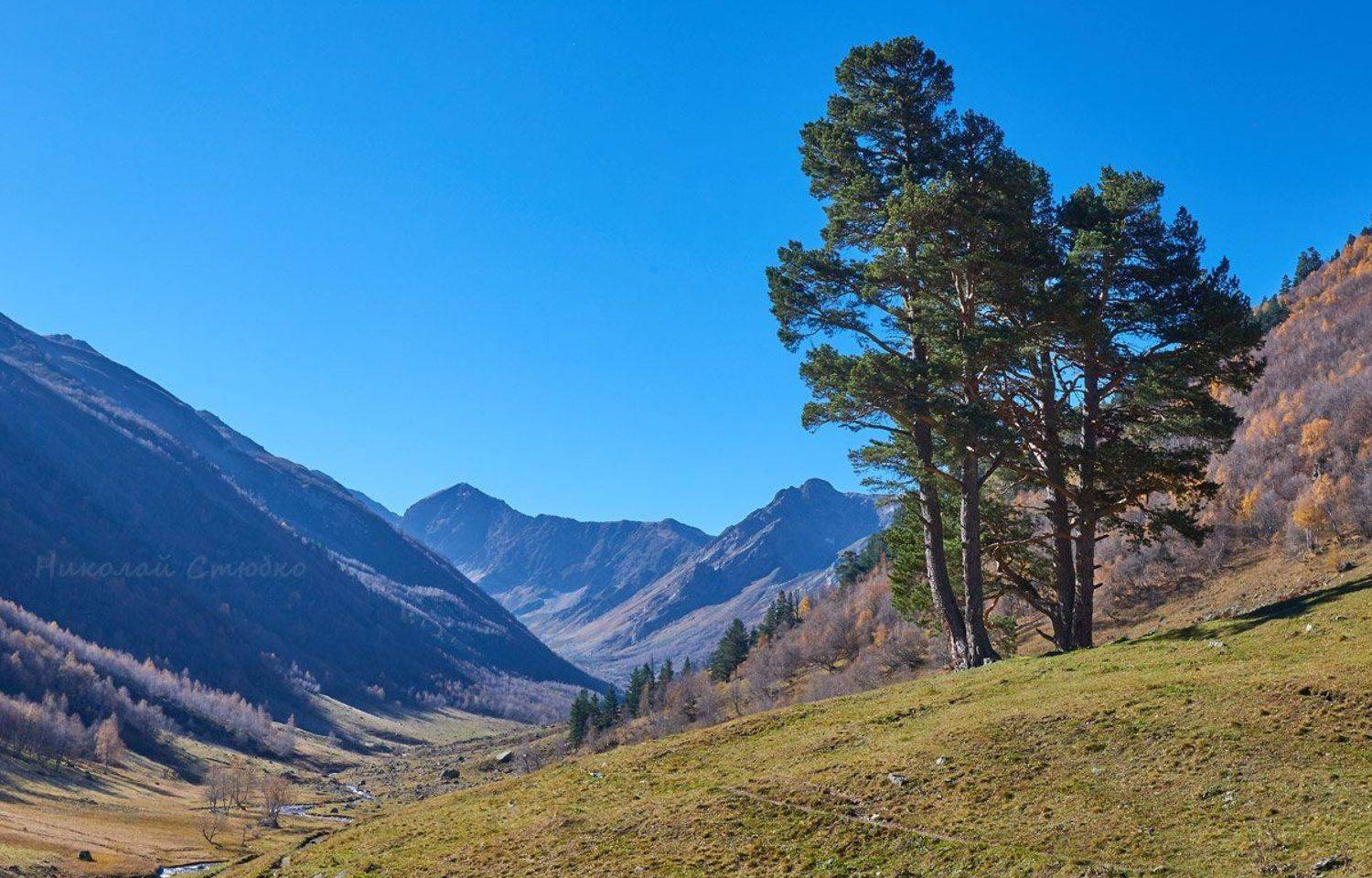 кавказ горы небо архыз осень сосны, Николай Стюбко