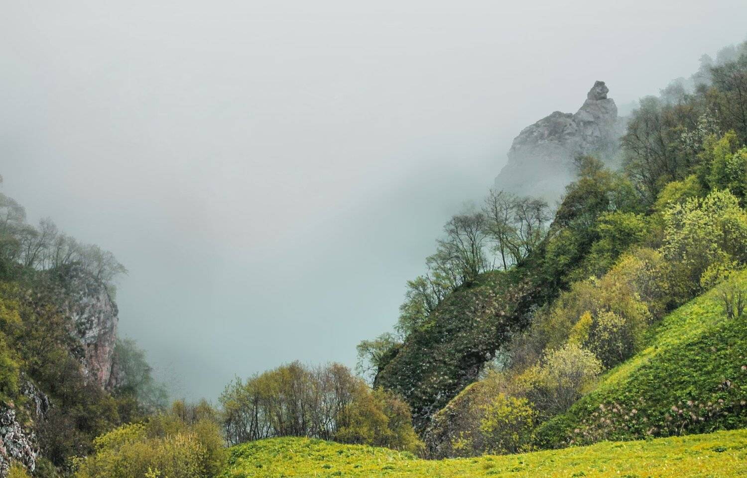 горы,лето,пейзаж,чечня., Marat Magov