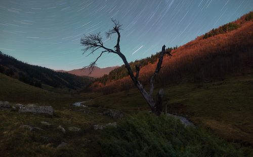 The voice of the stars