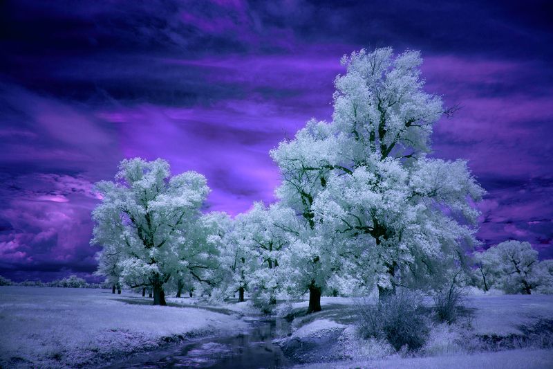 infrared, southural, orenburgregion, олег_грачёв, oleg_grachev, canon, canonlens IRreal world 22 фото превью