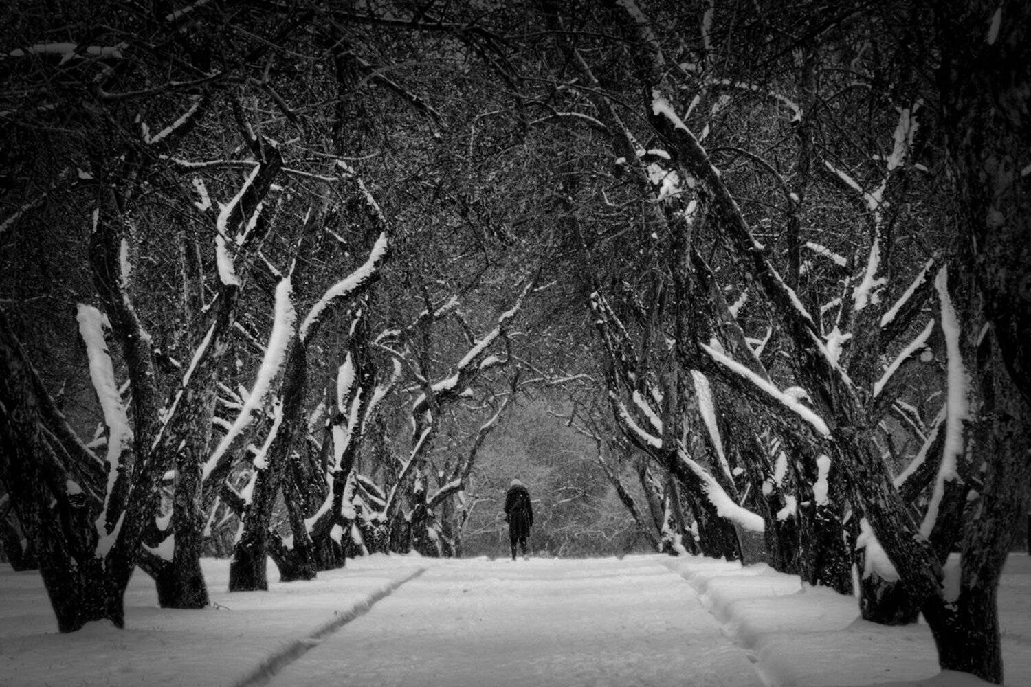 , Алексей Федотов