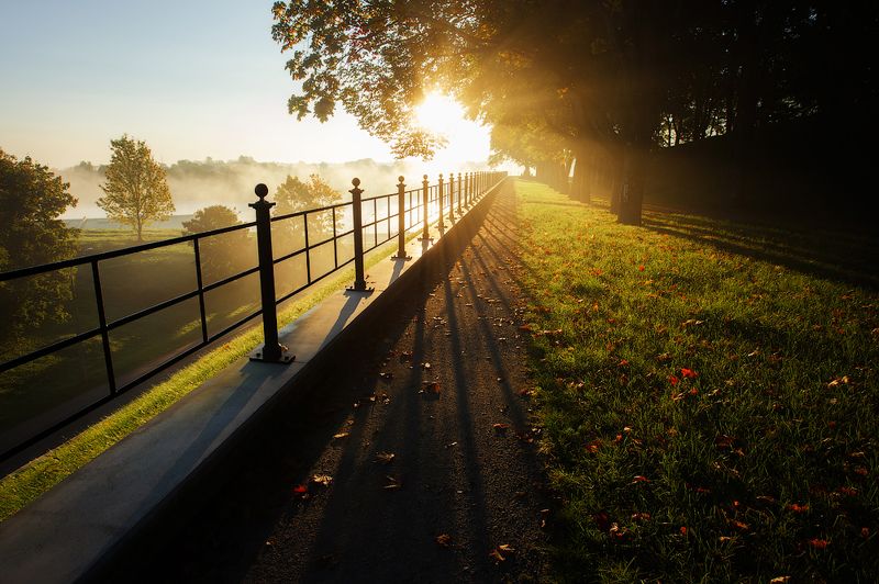 осень, утро Золото осени фото превью