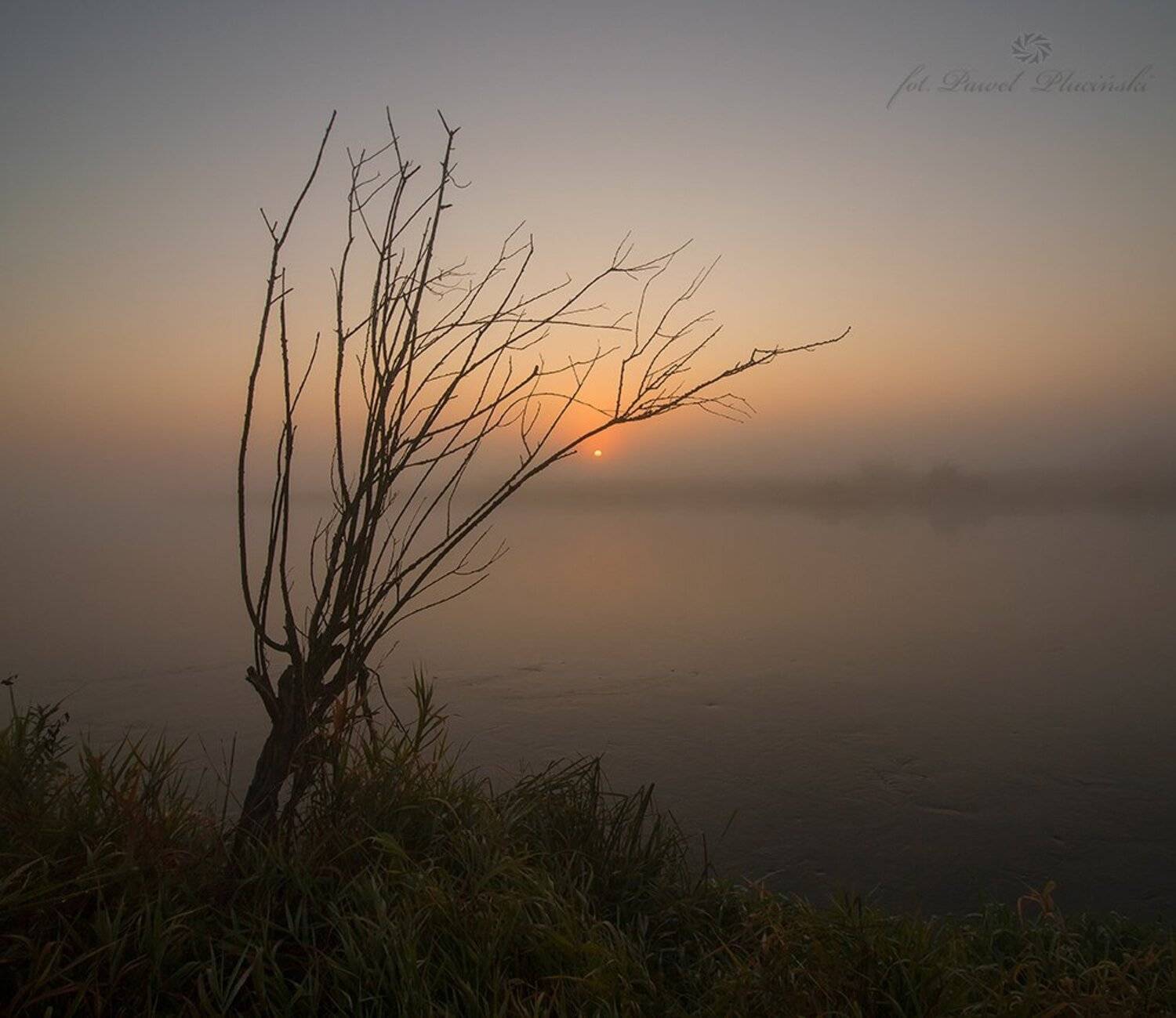 , Pawel Plucinski