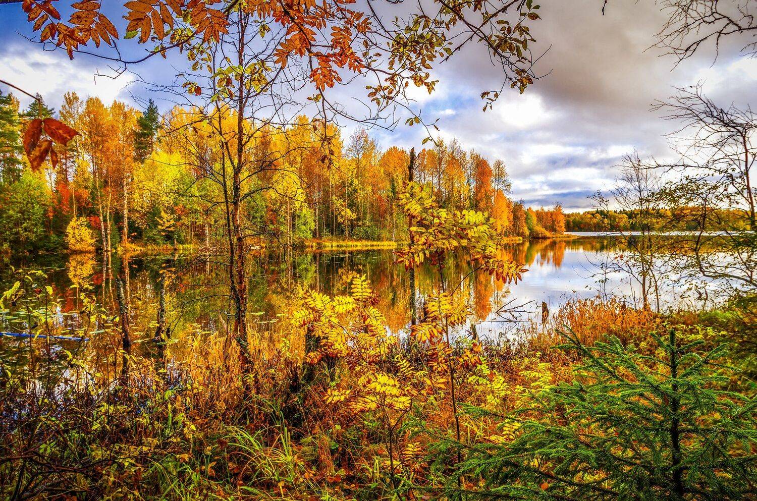 , Олег Авдеев