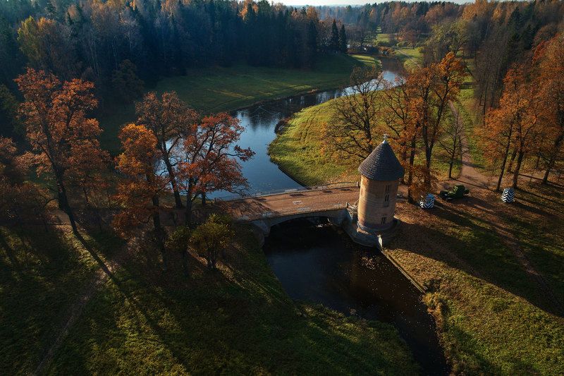 пейзаж, павловск, золотая осень, dji phantom 4 pro Павловск. Осеннее утро. фото превью