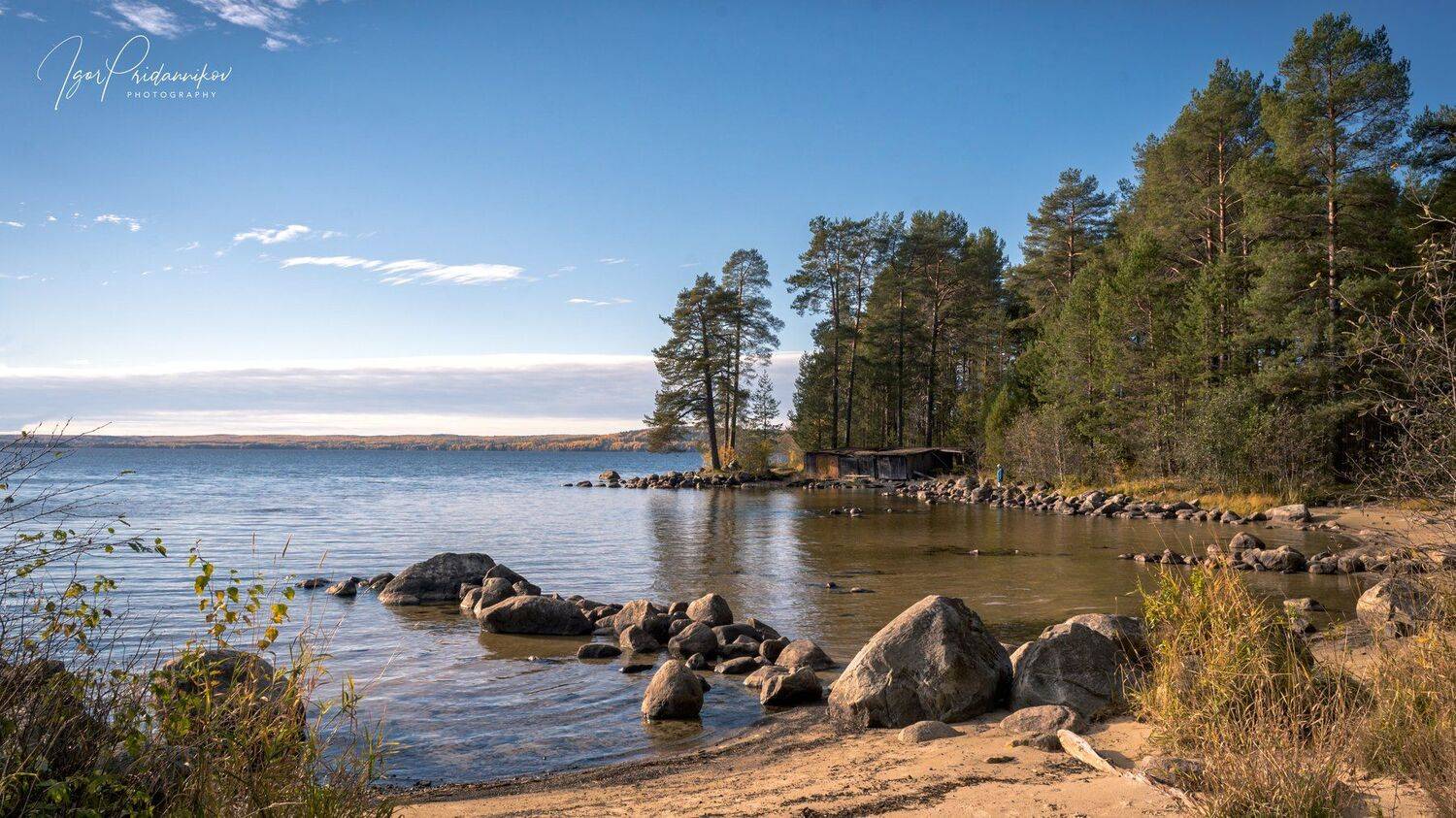 озеро, камни, пляж, сосны, утро, Игорь Приданников