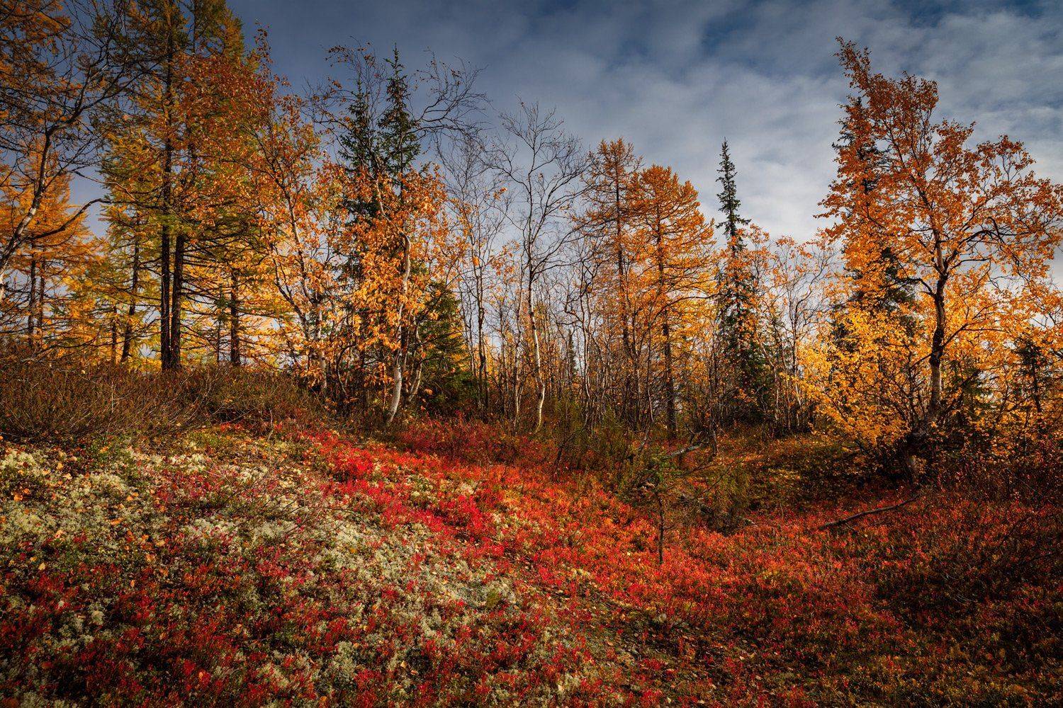 , Евгений Кужилев