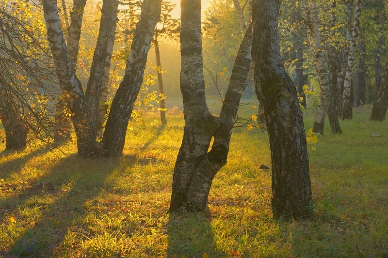 Осеннее утро фото превью