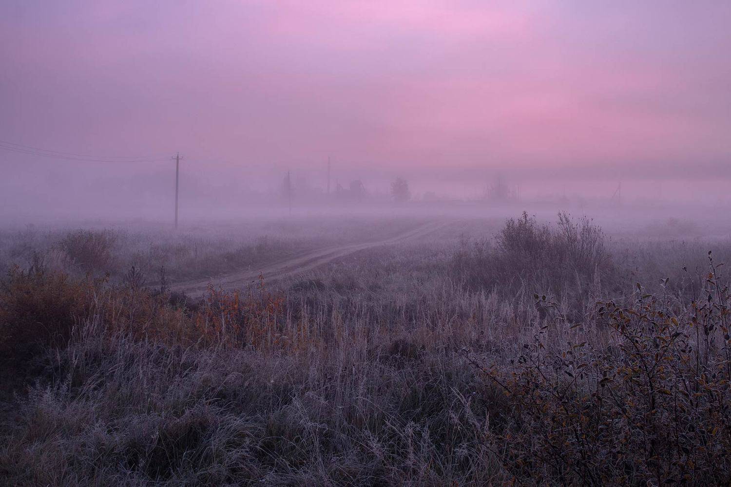 , Александр