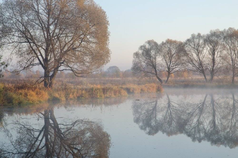 Калужская обл., р. Истья, Юсупов Александр