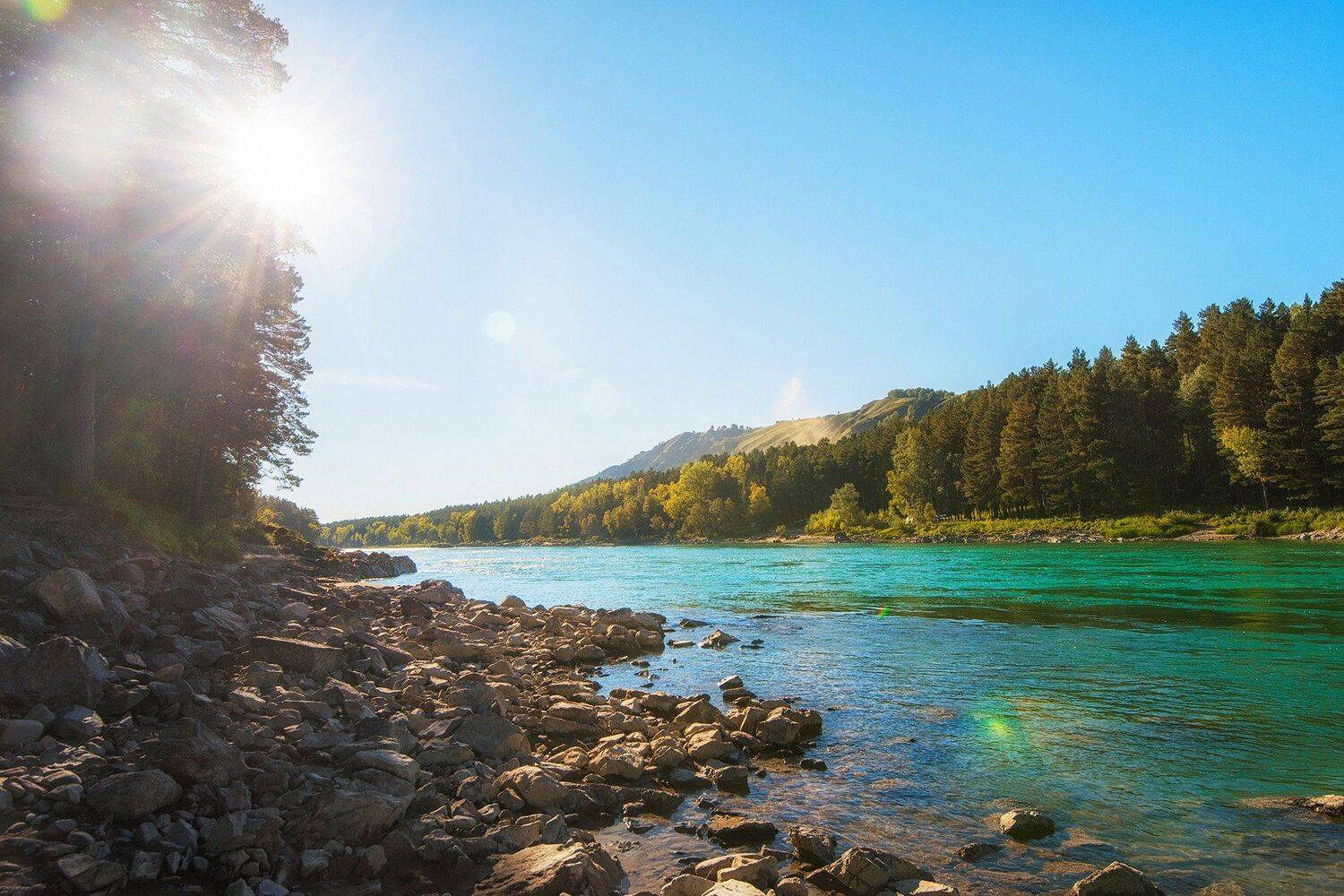 катунь, Руслан Олинчук