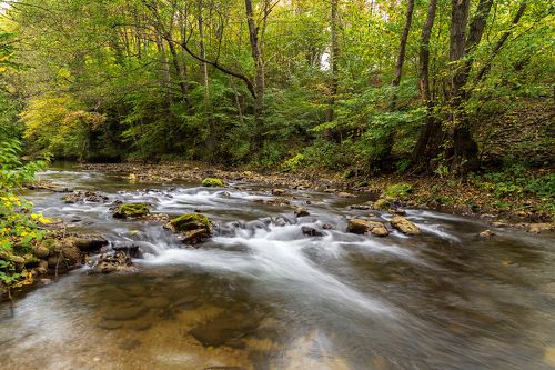 River in Strandja mountain, Bulgaria